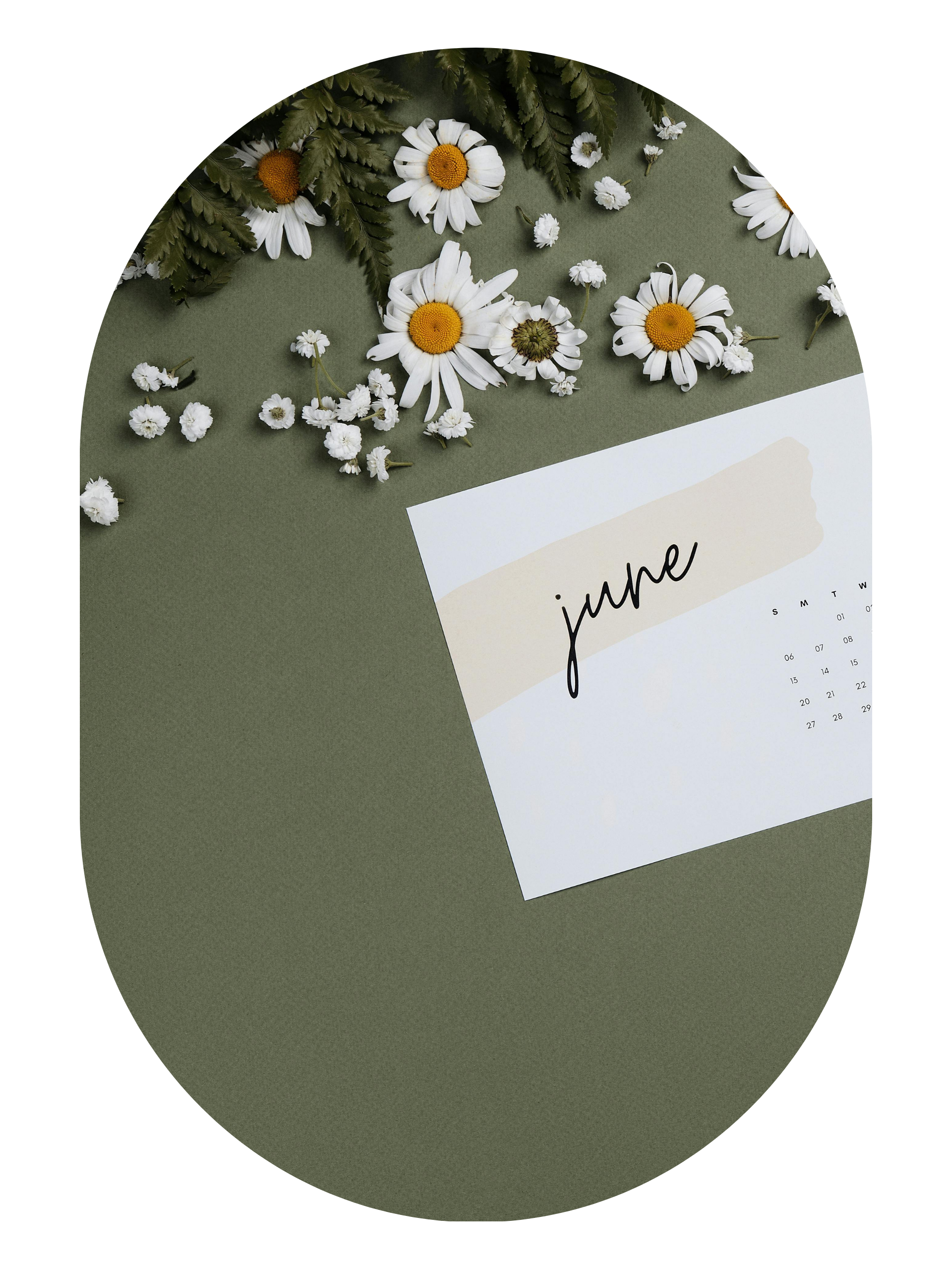 Untitled design (11)